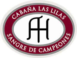 cabana-las-lilas.jpg